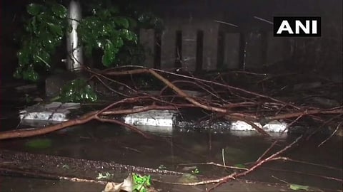 നിവാര്‍ ചുഴലിക്കാറ്റില്‍ വ്യാപക നാശനഷ്ടം, മരങ്ങള്‍ കടപുഴകി, രണ്ടുമരണം; താഴ്ന്ന പ്രദേശങ്ങള്‍ വെള്ളത്തിന്റെ അടിയില്‍, കനത്ത മഴ തുടരുന്നു