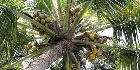 പ്രതീകാത്മക ചിത്രം