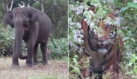 ട്വിറ്റര്‍ ചിത്രം