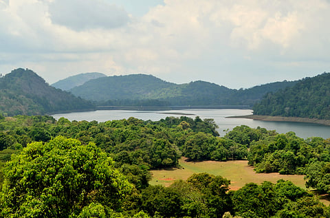അതിരപ്പിള്ളിയല്ല, ഇത്തവണ ആനക്കയം