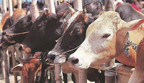 പ്രതീകാത്മക ചിത്രം