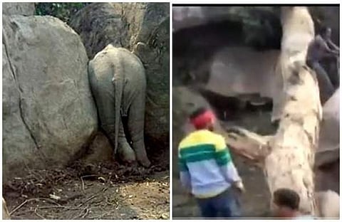 പാറക്കൂട്ടങ്ങള്‍ക്കിടയില്‍ കുട്ടിയാന കുടുങ്ങി; രക്ഷിക്കാനെത്തിയവരെ അടുക്കാന്‍ സമ്മതിക്കാതെ അമ്മയാന, ഒടുവില്‍ സംഭവിച്ചത് (വീഡിയോ)