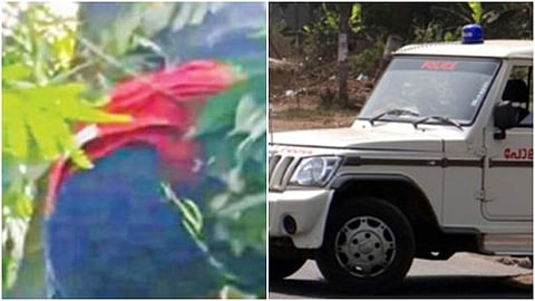 മോഷണമുതല്‍ വീതം വെക്കുന്നതില്‍ തര്‍ക്കം; മരത്തിലൊളിച്ച കള്ളനെ നാട്ടുകാര്‍ കൈയോടെ പിടികൂടി