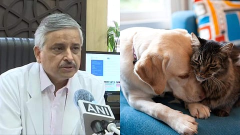 വളര്‍ത്തുമൃഗങ്ങളില്‍ നിന്ന് മനുഷ്യരിലേക്ക് കോവിഡ് പകരില്ല: എയിംസ് ഡയറക്ടര്‍