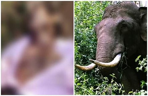 ആറളം ഫാമില്‍ കാട്ടാനയുടെ ആക്രമണം; തൊഴിലാളി കൊല്ലപ്പെട്ടു
