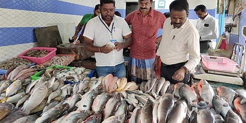 ലോക്ക്ഡൗണില്‍ 'ചീഞ്ഞ മീനിന്റെ ചാകര', പിടികൂടിയത് 29,000 കിലോ പഴകിയ മത്സ്യം; നൂറ് കിലോ മീനില്‍ ഫോര്‍മാലിന്‍ 