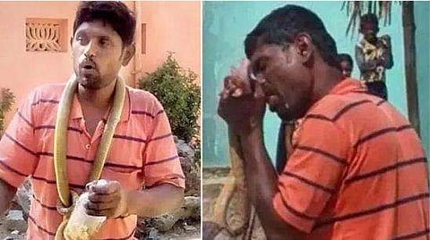 മദ്യ ലഹരിയില്‍ പാമ്പിനെ കടിച്ചു കൊന്ന് കഷ്ണങ്ങളാക്കിയ സംഭവം; യുവാവിനെ വനപാലകർ പൊക്കി; കേസ്