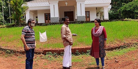 പുല്‍ത്തകിടിയെ നെല്‍വയലാക്കി ദമ്പതികള്‍; സുഭിക്ഷകേരളം പദ്ധതിയില്‍ മാതൃകയായി ടോമിയും റാണിയും