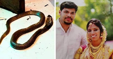 ഉത്രയുടെ തലച്ചോറിലും കരളിലും പാമ്പിന്‍ വിഷത്തോടൊപ്പം ഉറക്കഗുളികയുടെ സാന്നിധ്യവും; പരിശോധന റിപ്പോര്‍ട്ട് പുറത്ത്