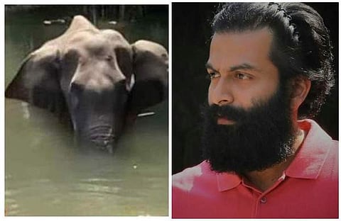 ആന ചരിഞ്ഞത് മലപ്പുറത്തല്ല; വര്‍ഗീയത കലര്‍ത്തരുത്; എണ്ണിപ്പറഞ്ഞ് പൃഥ്വിരാജ്