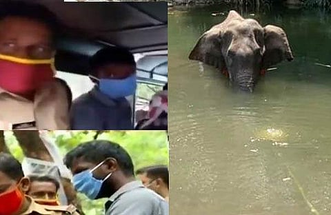 ലക്ഷ്യം മൃഗവേട്ട തന്നെ, മുമ്പും പന്നിയെ കൊന്ന് മാംസ വില്‍പ്പന നടത്തി; ആന ചെരിഞ്ഞ കേസില്‍ രണ്ടു പേര്‍ ഒളിവില്‍