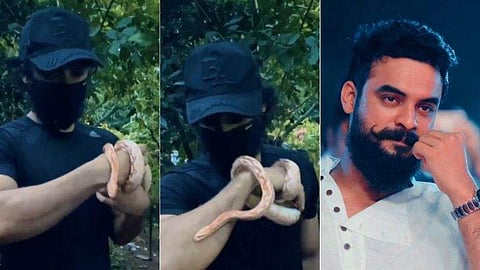 TOVINO