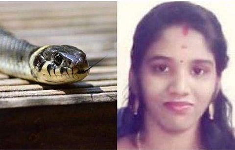 ഉത്രയുടെ കൊലപാതകം പുനരാവിഷ്‌കരിച്ചു, മൂര്‍ഖന്‍ പാമ്പിനെ ഡമ്മിയില്‍ പരീക്ഷിച്ചു; വീഡിയോ ചൊവ്വാഴ്ച കോടതിയില്‍