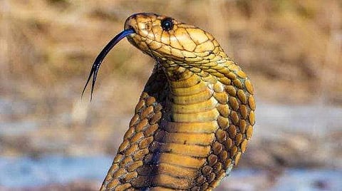 പ്രതീകാത്മക ചിത്രം