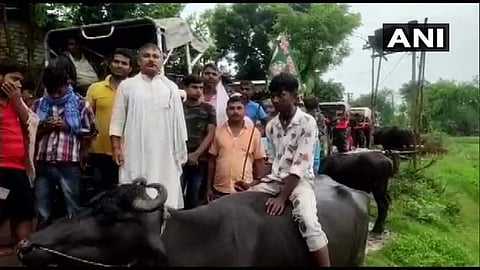 പോത്തിന്റെ പുറത്തേറിയും ട്രാക്ടറില്‍ സഞ്ചരിച്ചും പ്രതിഷേധം, ദേശീയ പാതയും റെയിലും ഉപരോധിച്ചു; കര്‍ഷക പ്രക്ഷോഭം ശക്തം (വീഡിയോ)