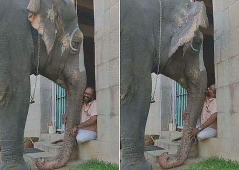 വിഡിയോ സ്ക്രീൻഷോട്ട്