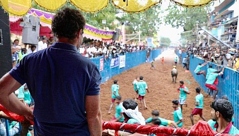 രാഹുല്‍ഗാന്ധി ജല്ലിക്കെട്ട് വീക്ഷിക്കുന്നു / ട്വിറ്റര്‍ ചിത്രം