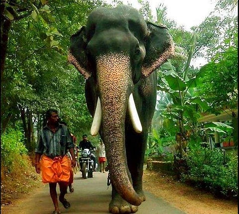 മംഗലാംകുന്ന് കര്‍ണന്‍/  ഫെയ്സ്ബുക്ക് ചിത്രം