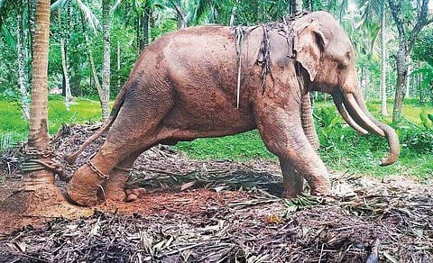 പ്രതീകാത്മക ചിത്രം