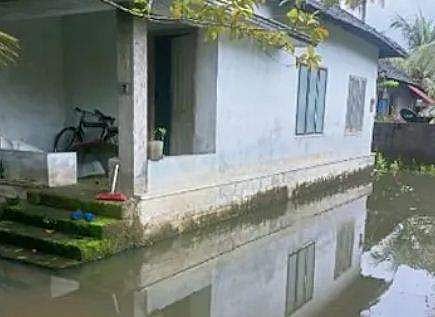 ടെലിവിഷൻ ദൃശ്യം