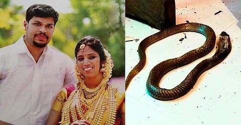 ഉത്രയും സൂരജും
