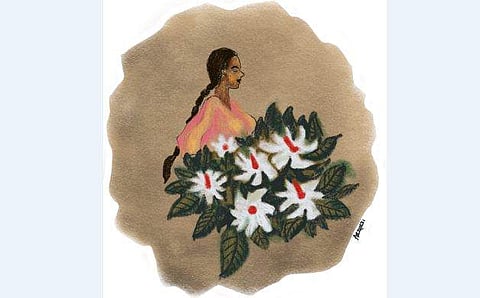 ചിത്രീകരണം: അർജുൻ കെവി