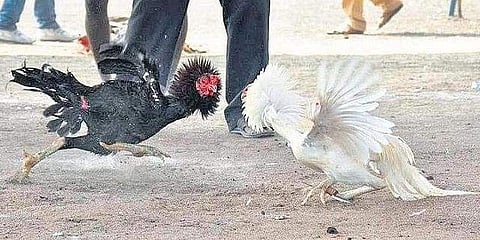 പ്രതീകാത്മക ചിത്രം