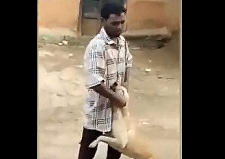 നായയുടെ തലയില്‍ പിടിച്ച് വലിക്കുന്ന യുവാവ്‌
