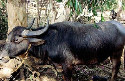 ഫയല്‍ ചിത്രം