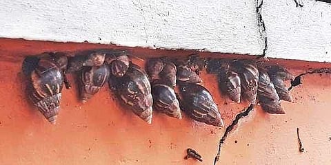 ഫയല്‍ ചിത്രം