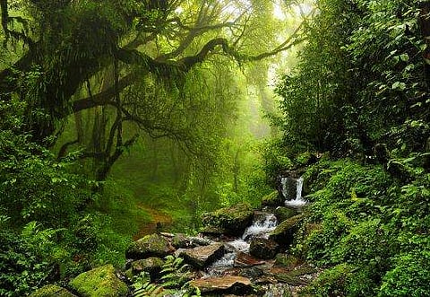 പ്രതീകാത്മക ചിത്രം