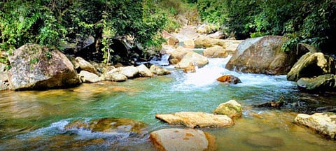 പ്രതീകാത്മക ചിത്രം
