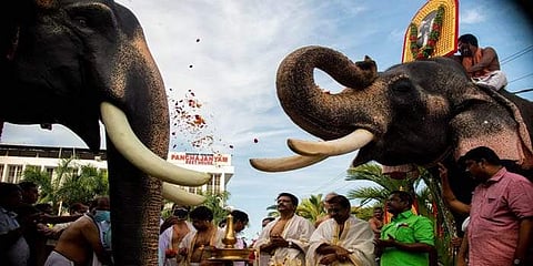 ഗുരുവായൂര്‍ കേശവന് പിന്‍ഗാമികള്‍ പ്രണാമം അര്‍പ്പിക്കുന്നു