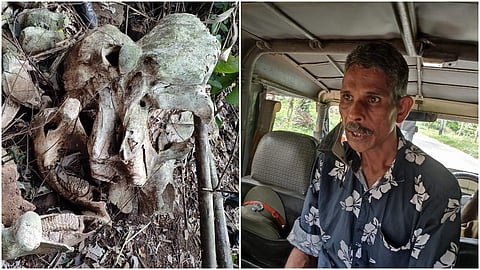 പിടിയിലായ പാലക്കുഴി സ്വദേശി ഇല്ലിക്കല്‍ ജയ്‌മോ