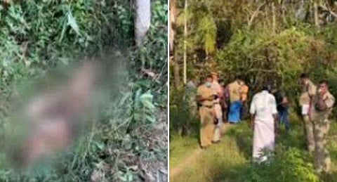 ടെലിവിഷൻ ദൃശ്യം