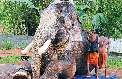 ഫയല്‍ ചിത്രം