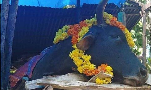 നന്ദികേശന്റെ സംസ്കാര ചടങ്ങ്/ ഫേയ്സ്ബുക്ക്