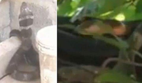 ടെലിവിഷൻ ദൃശ്യം