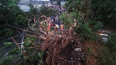 ചിത്രം: എ സനേഷ്/എക്‌സ്പ്രസ്‌