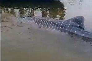 പ്രതീകാത്മക ചിത്രം