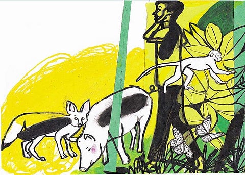 ചിത്രീകരണം / സചീന്ദ്രന്‍ കാറഡുക്ക