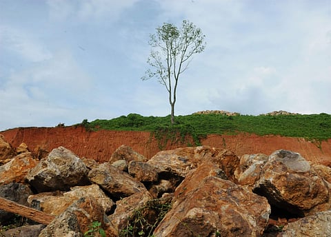 പരിസ്ഥിതിവാദത്തിലെ ഇന്ത്യന്‍ അനുഭവങ്ങള്‍