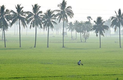 കിസാന്‍ സമ്മാന്‍ നിധി; പണം കൈപ്പറ്റിയ അനര്‍ഹര്‍ക്കു തിരിച്ചടയ്ക്കാന്‍ നോട്ടീസ്/പിടിഐ