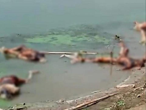 ചിത്രം: പിടിഐ