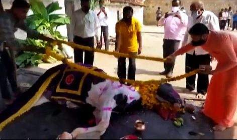 കോവിഡ് നിയന്ത്രണങ്ങള്‍ ലംഘിച്ച് കുതിരയെ സംസ്‌കരിക്കുന്നു