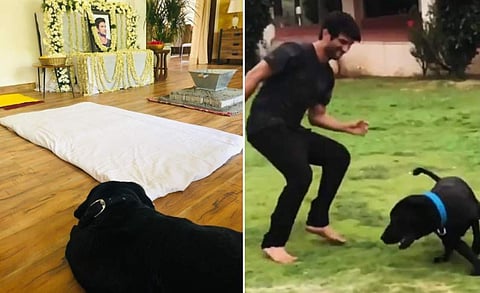 സുശാന്തും ഫഡ്ജും/ ഇൻസ്റ്റ​ഗ്രാം