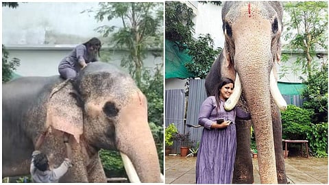 ആനപ്പുറത്ത് കയറിയ ശ്വേത ടീച്ചര്‍ ചിത്രം/ ഫെയ്‌സ്ബുക്ക്‌