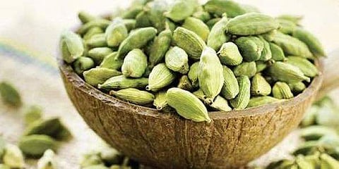 ഫയല്‍ ചിത്രം