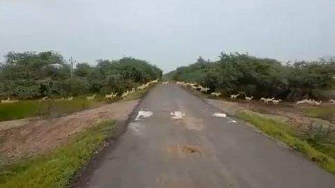 വീഡിയോ ദൃശ്യം