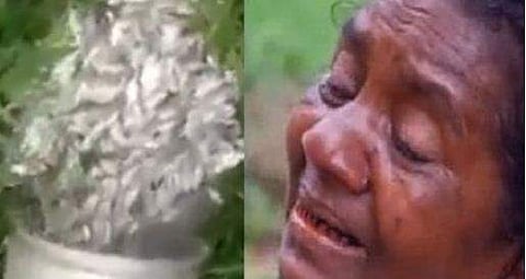 സമൂഹ മാധ്യമങ്ങളില്‍ പ്രചരിച്ച വിഡിയോ ദൃശ്യത്തില്‍നിന്ന്‌